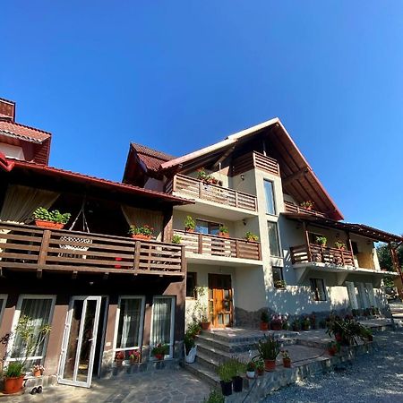 Vila Sorina Борша Екстер'єр фото
